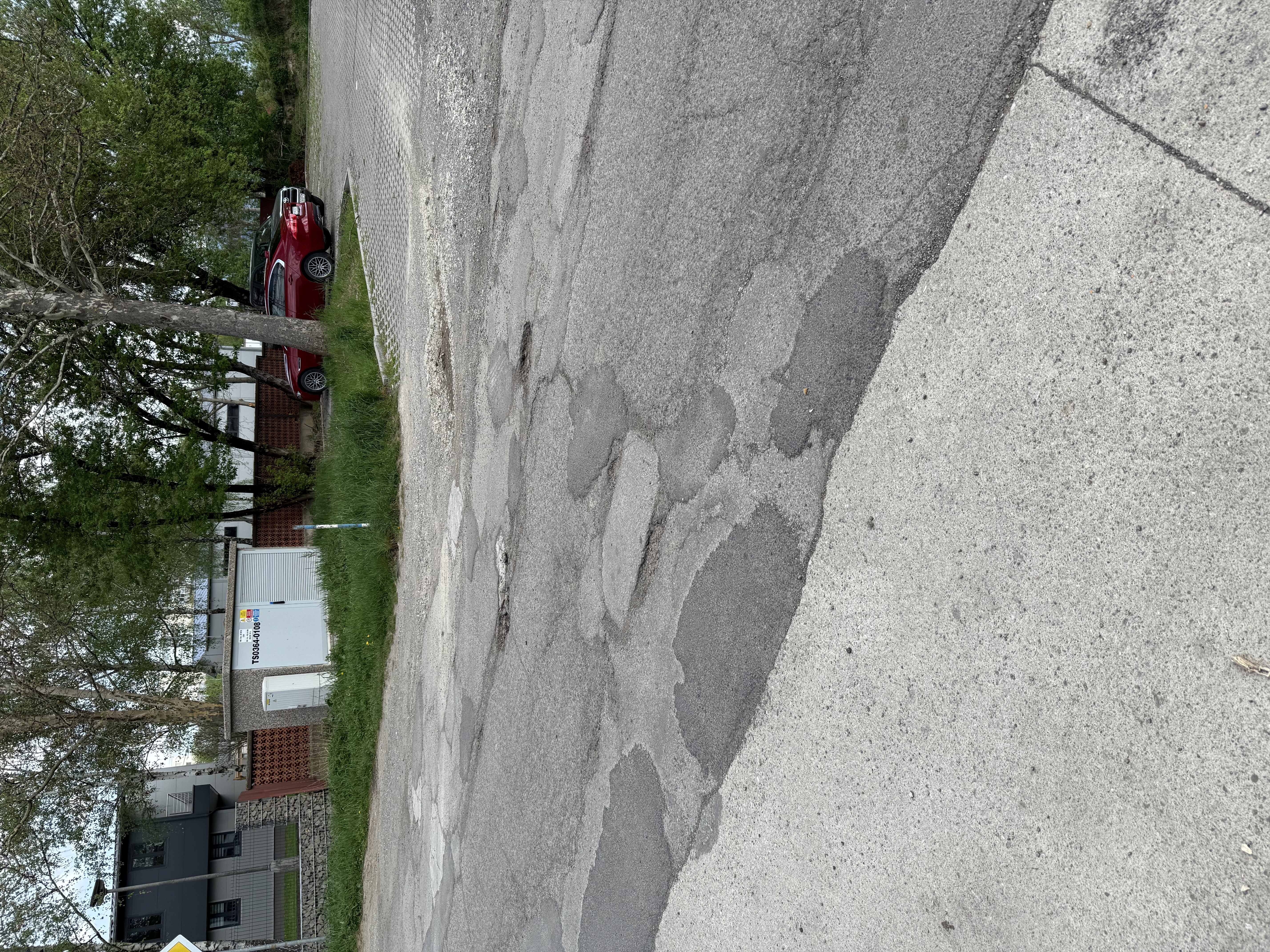 IMG_9760.jpeg
